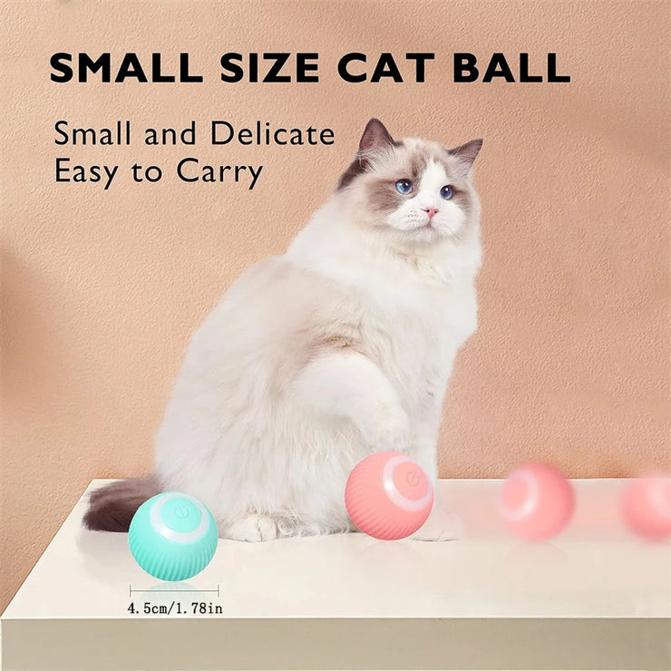 Balle Interactive Électronique pour Chiens et Chats USB