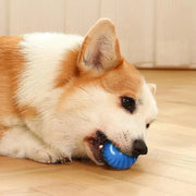 Balle Interactive Électronique pour Chiens et Chats USB