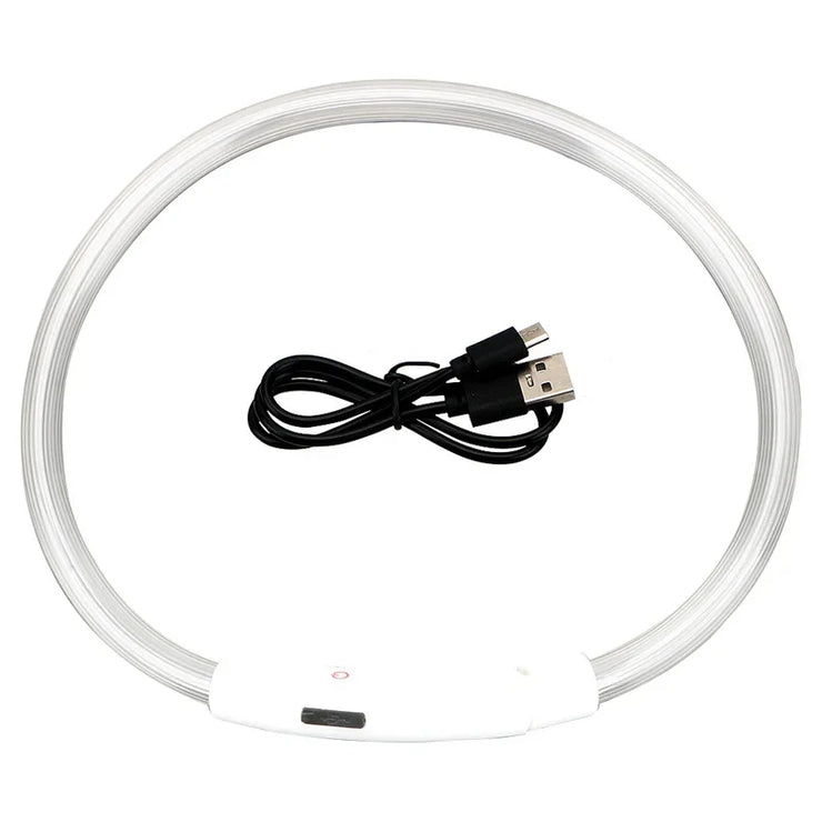 Collier Lumineux Chien LED Rechargeable USB