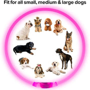 Collier Lumineux Chien LED Rechargeable USB