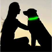 Collier Lumineux LED Chien Réglable Anti-Perte Nuit