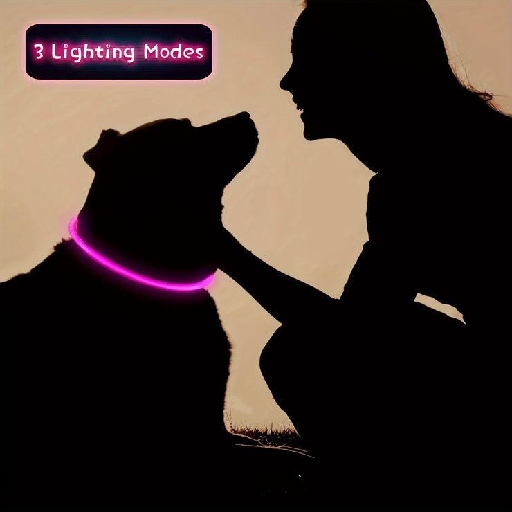 Collier Chien LED Lumineux Anti-Perte Rechargeable USB