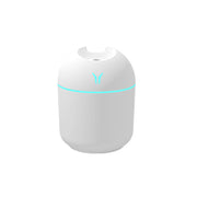 250ML Mini Aroma Oil Diffuser USB Essential Oil Atomizer Electric Air Humidifier With LED Night Lamp For Home Desk Bedroom Car