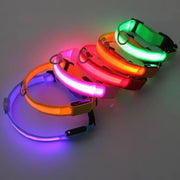 Collier Lumineux LED Chien Réglable Anti-Perte Nuit