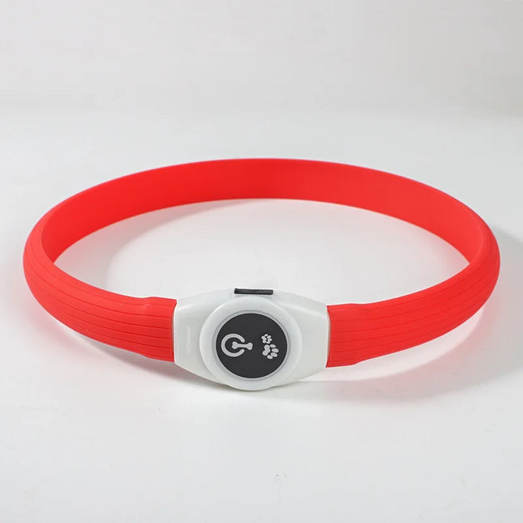 Collier LED Chien Étanche USB Lumineux Sécurité Nuit