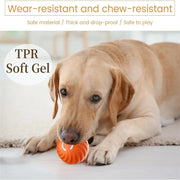 Balle Interactive Électronique pour Chiens et Chats USB