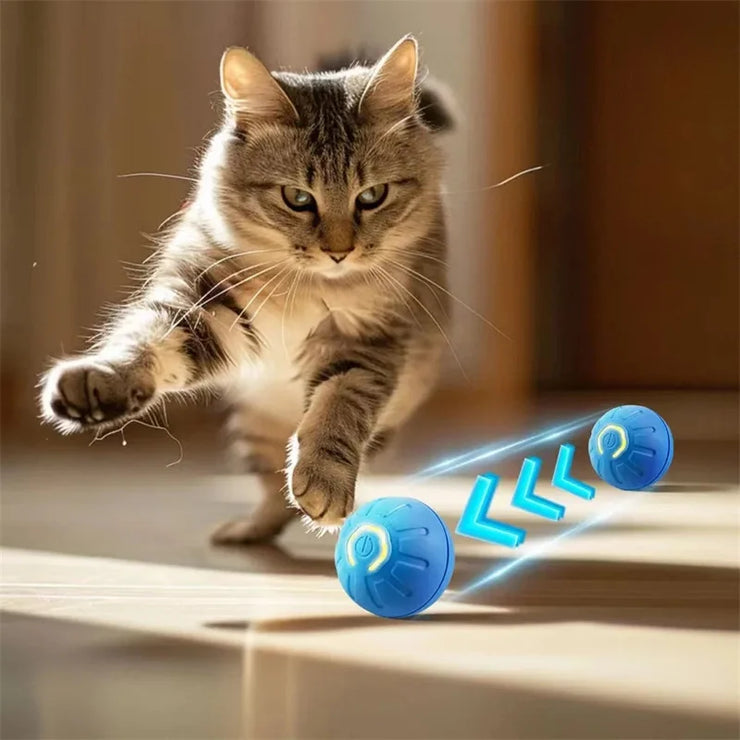 Balle Interactive Électronique pour Chiens et Chats USB