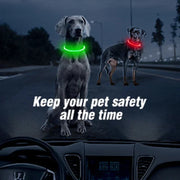 Collier Lumineux Chien LED Rechargeable USB