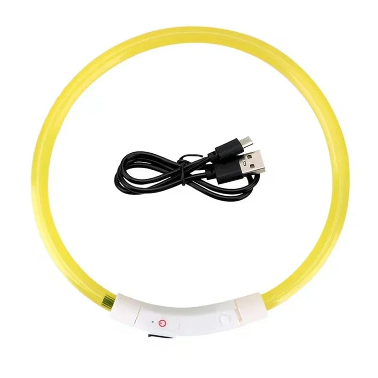Collier Lumineux LED USB pour Chien Rechargeable & Amovible