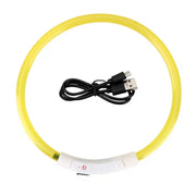 Collier Lumineux Chien LED Rechargeable USB