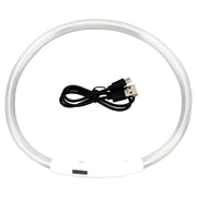 Collier Lumineux Chien LED Rechargeable USB