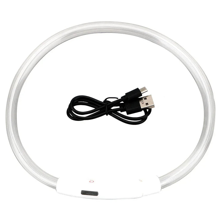 Collier Lumineux Chien LED Rechargeable USB