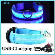 Collier Lumineux LED Chien Réglable Anti-Perte Nuit