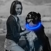 Collier Lumineux Chien LED Rechargeable USB