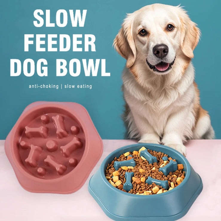 Gamelle Anti-Glouton Chien Antidérapante Slow Feeder