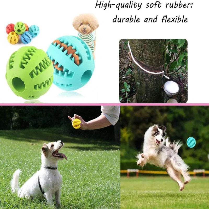 Balles en caoutchouc interactives Puppy Toys Pet Toys Pet Tooth Cleaning Ball Cats Pets Food Treat Feeder Silicon Balls Toy