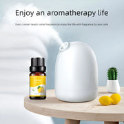 Lot 18 Saveurs Huiles Essentielles 10ml Diffuseur & Humidificateur