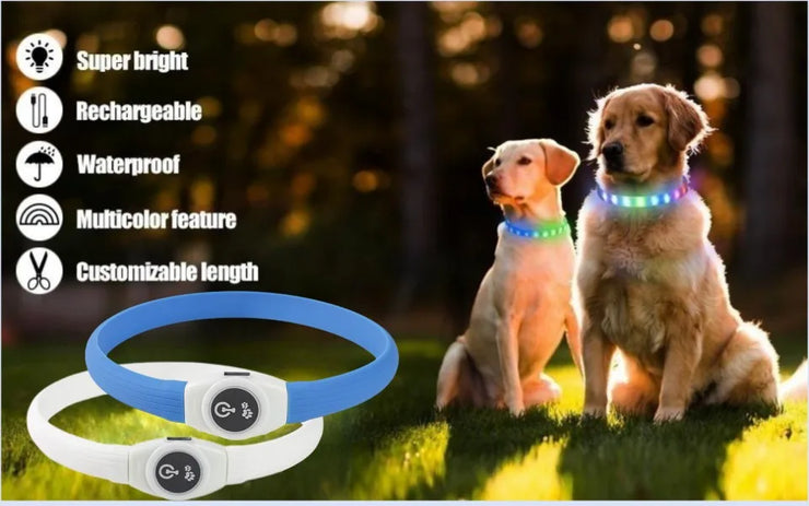 Collier LED Chien Étanche USB Lumineux Sécurité Nuit