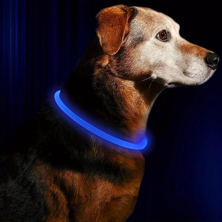 Collier Chien LED Lumineux Anti-Perte Rechargeable USB