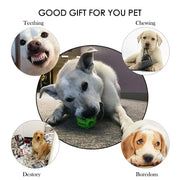 Balle Jouet Interactive pour Chien & Chat Caoutchouc à Mâcher