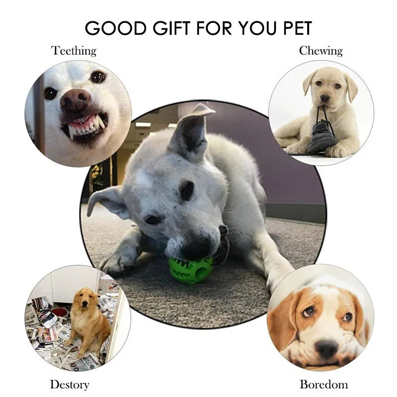 Balles en caoutchouc interactives Puppy Toys Pet Toys Pet Tooth Cleaning Ball Cats Pets Food Treat Feeder Silicon Balls Toy