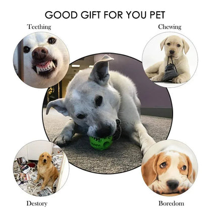 Balles en caoutchouc interactives Puppy Toys Pet Toys Pet Tooth Cleaning Ball Cats Pets Food Treat Feeder Silicon Balls Toy