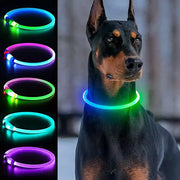 Collier LED Chien Étanche USB Lumineux Sécurité Nuit