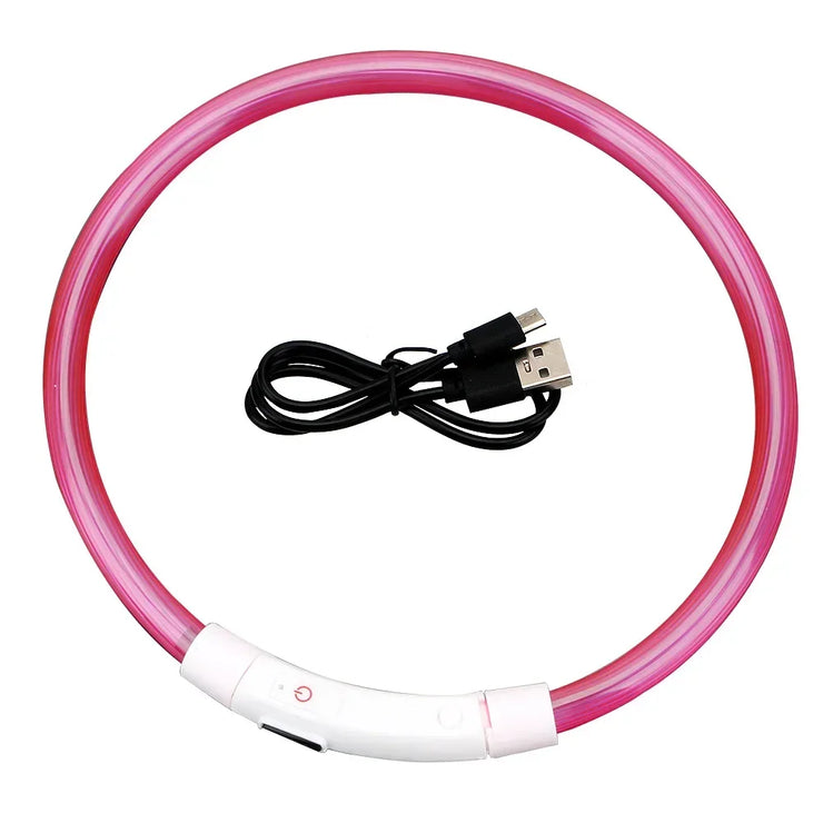 Collier Lumineux Chien LED Rechargeable USB