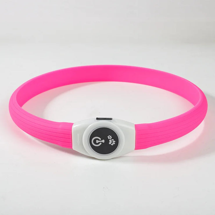Collier Lumineux LED Étanche pour Chien Sécurité Nocturne
