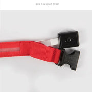 Collier Lumineux LED Chien Réglable Anti-Perte Nuit