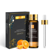 Support Dropshipping 10ML Lavender Rose Eucalyptus Jasmine Vanilla Mint Sandalwood Tea Tree Orange Diffuser Aroma Essential Oil.       Prise de 10 ml Rose Lavande Eucalyptus Jasmine Vanilla Mint Bois de santal Arbre à thé Orange Diffuser Huile essentielle