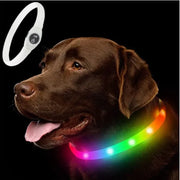 Collier LED Chien Étanche USB Lumineux Sécurité Nuit