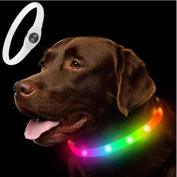 Collier LED Chien Étanche USB Lumineux Sécurité Nuit