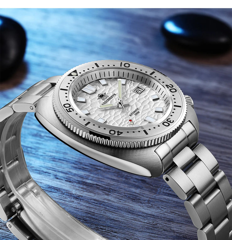 Montre Homme Automatique ADDIESDIVE NH35A Acier Inoxydable