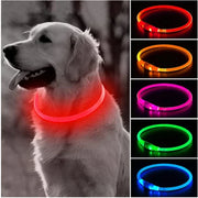 Collier Lumineux Chien LED Rechargeable USB