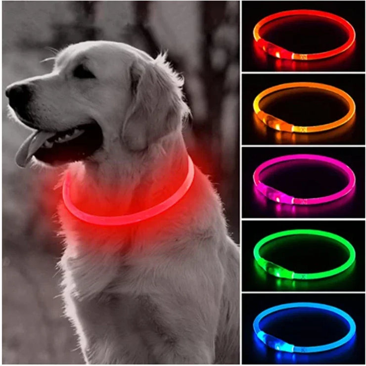 Collier Lumineux Chien LED Rechargeable USB