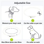 Collier Lumineux LED USB pour Chien Rechargeable & Amovible