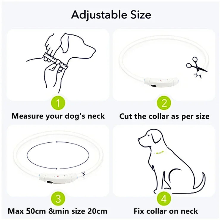 Collier Lumineux Chien LED Rechargeable USB