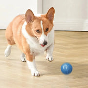 Balle Interactive Électronique pour Chiens et Chats USB