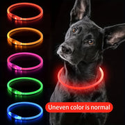 Collier Chien LED Lumineux Anti-Perte Rechargeable USB