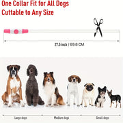 Collier Chien LED Lumineux Anti-Perte Rechargeable USB