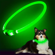 Collier Chien LED Lumineux Anti-Perte Rechargeable USB