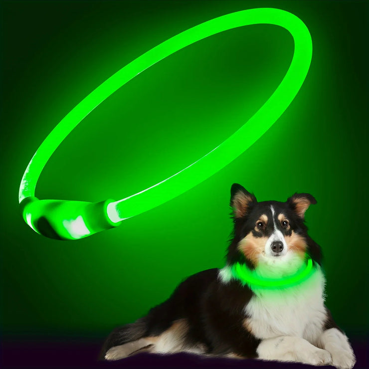 Collier Chien LED Lumineux Anti-Perte Rechargeable USB