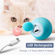 Balle Interactive Électronique pour Chiens et Chats USB