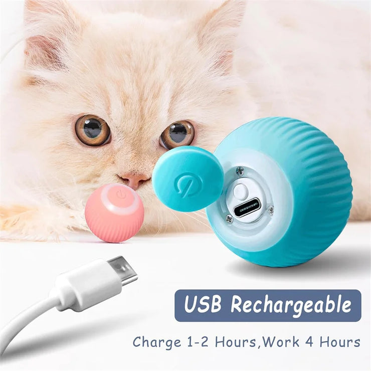 Balle Interactive Électronique pour Chiens et Chats USB