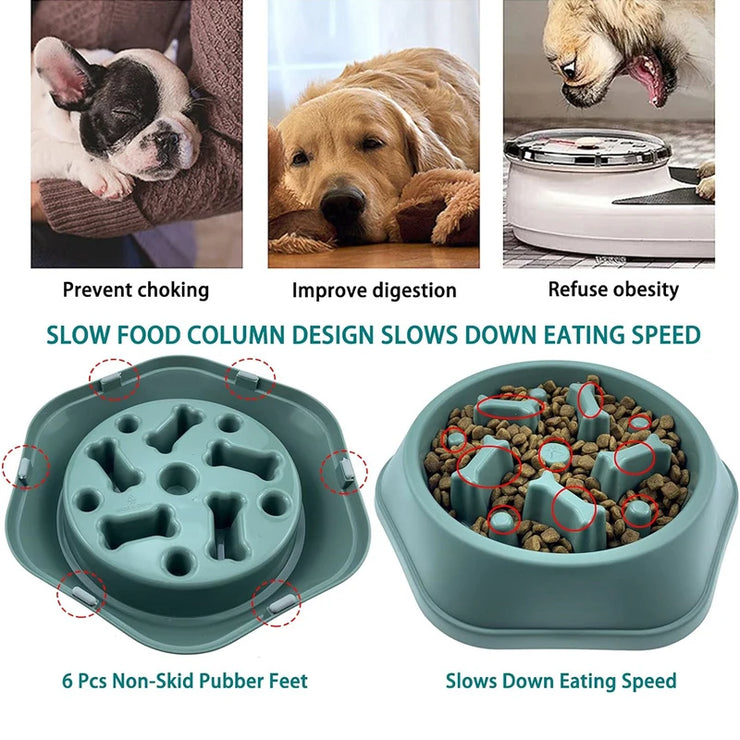 Gamelle Anti-Glouton Chien Antidérapante Slow Feeder