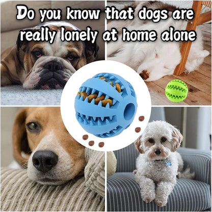 Balles en caoutchouc interactives Puppy Toys Pet Toys Pet Tooth Cleaning Ball Cats Pets Food Treat Feeder Silicon Balls Toy
