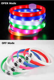 Collier LED Chien Étanche USB Lumineux Sécurité Nuit