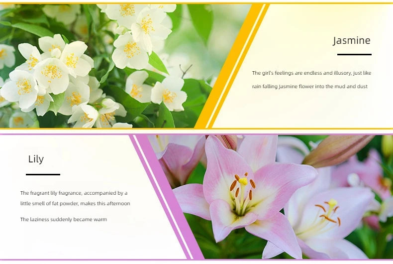 17 Flavors 10ml Essential Oils For Aroma Diffuser AirHumidifier Home Water-soluble Lavender Rose Eucalyptus  White Peach Oolong  17 Saveurs 10ml Huiles essentielles pour diffuseur d'arôme AirHumidifier Home Lavande soluble Rose Eucalyptus White Peach Oolo