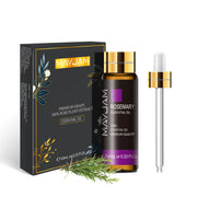 Support Dropshipping 10ML Lavender Rose Eucalyptus Jasmine Vanilla Mint Sandalwood Tea Tree Orange Diffuser Aroma Essential Oil.       Prise de 10 ml Rose Lavande Eucalyptus Jasmine Vanilla Mint Bois de santal Arbre à thé Orange Diffuser Huile essentielle